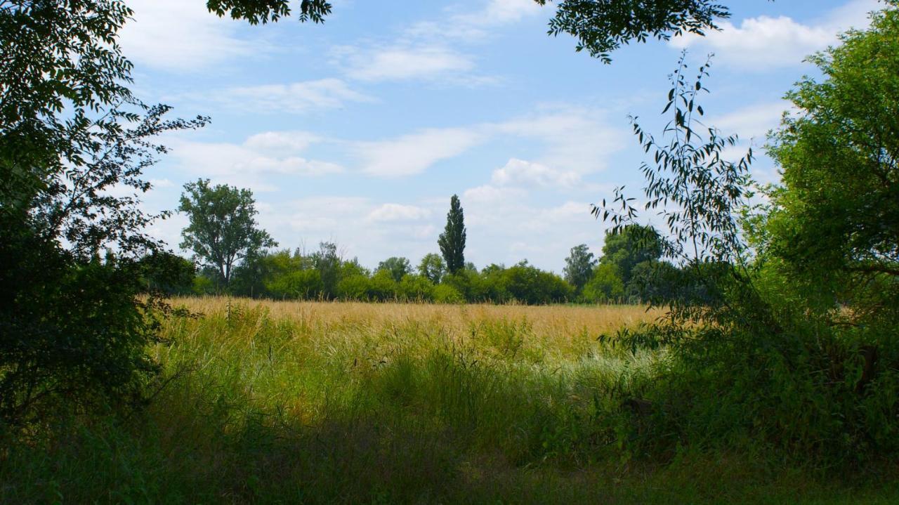 Ferienwohnung Fuchsberge Letschin Extérieur photo