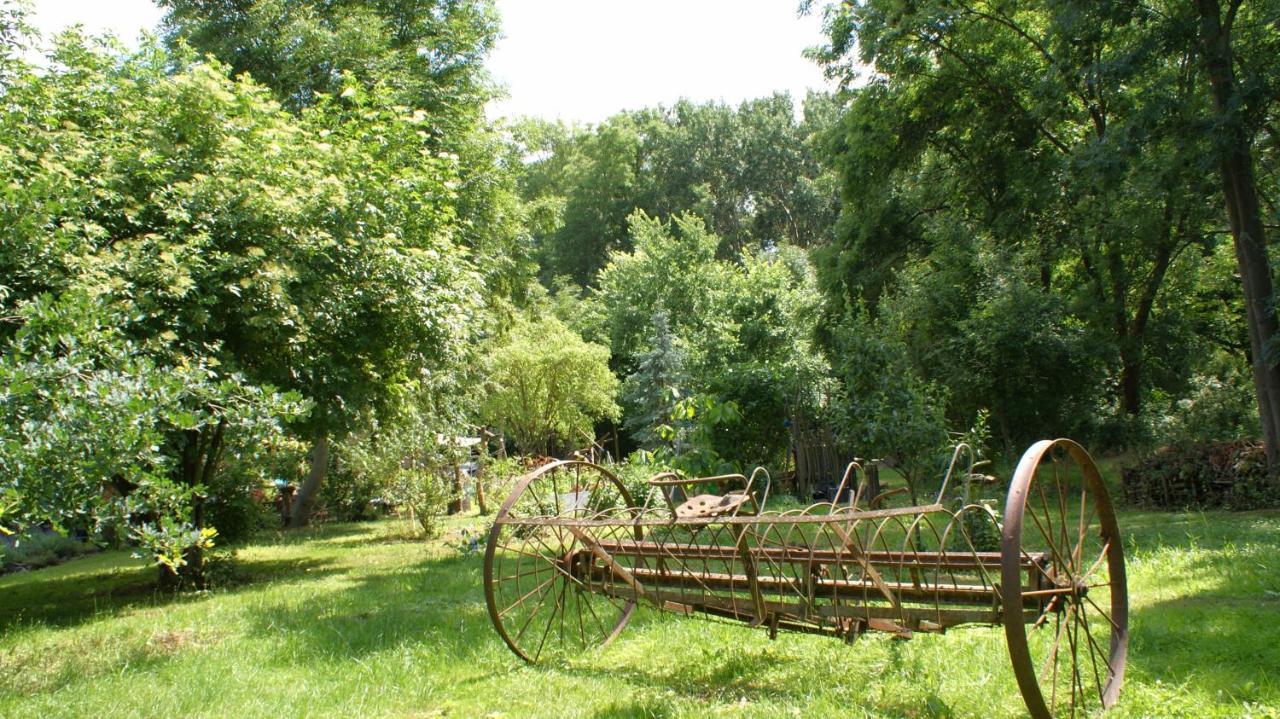 Ferienwohnung Fuchsberge Letschin Extérieur photo